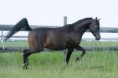 /album/fotogalerie-tjubaidanka/dsc-2868-72-72-1-jpg/